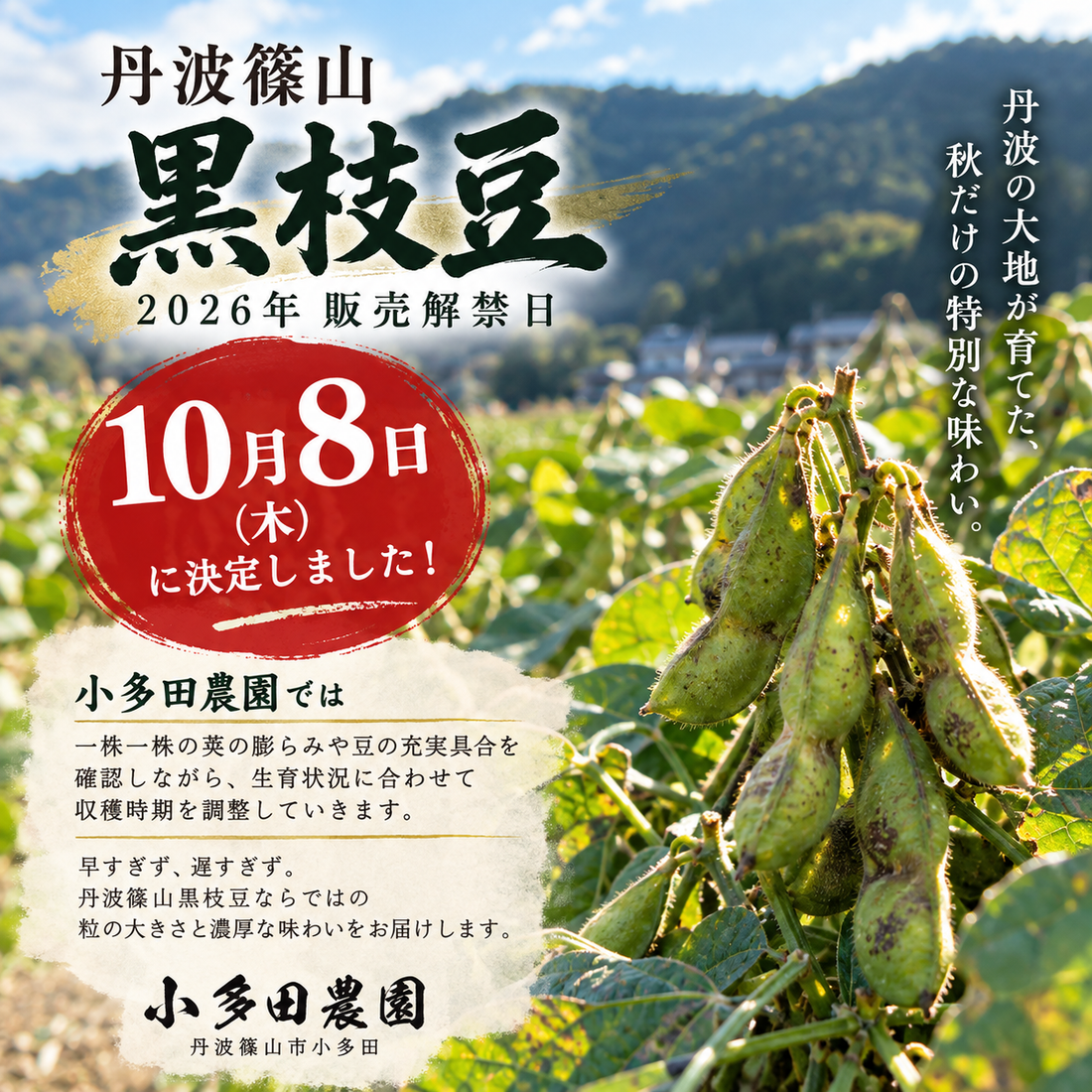 黒枝豆10月8日解禁決定！