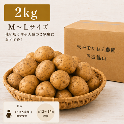 丹波篠山産 キタアカリ｜2026年秋新じゃがいも予約販売