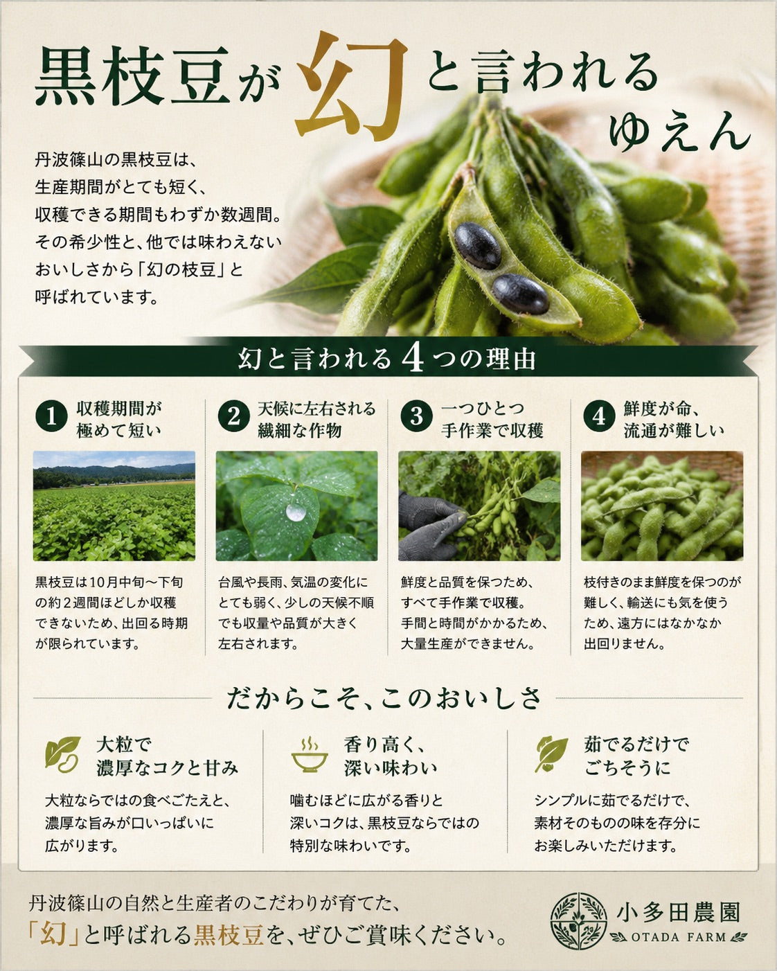 【丹波篠山産】小多田農園の黒枝豆     大粒・朝採れ・莢（さや）のみ700g ご家庭用特別価格 1,800円（税込・送料込み）リピーター割あり