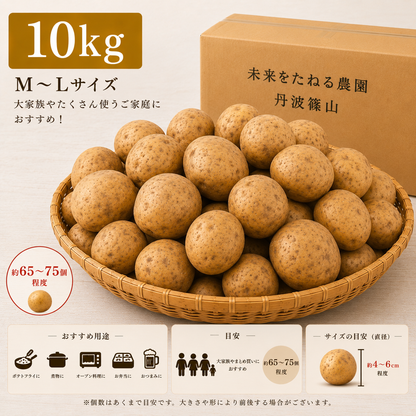 丹波篠山産 キタアカリ｜2026年秋新じゃがいも予約販売