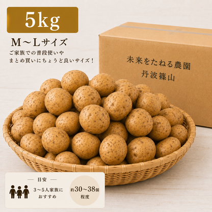 丹波篠山産 キタアカリ｜2026年秋新じゃがいも予約販売