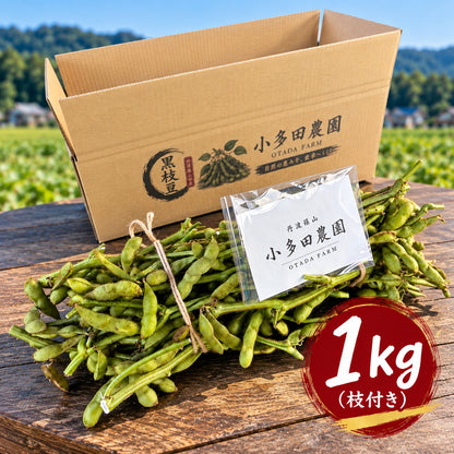 【数量限定】丹波篠山特産 黒枝豆｜枝付き・農園直送 リピーター割あり ご贈答用にも【1kg／2kg・送料込】