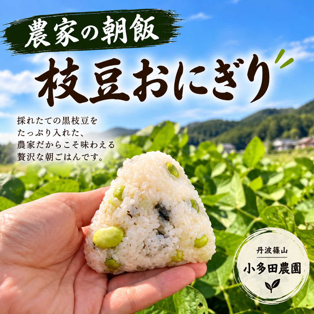 【丹波篠山産】小多田農園の黒枝豆     大粒・朝採れ・莢（さや）のみ700g ご家庭用特別価格 1,800円（税込・送料込み）リピーター割あり