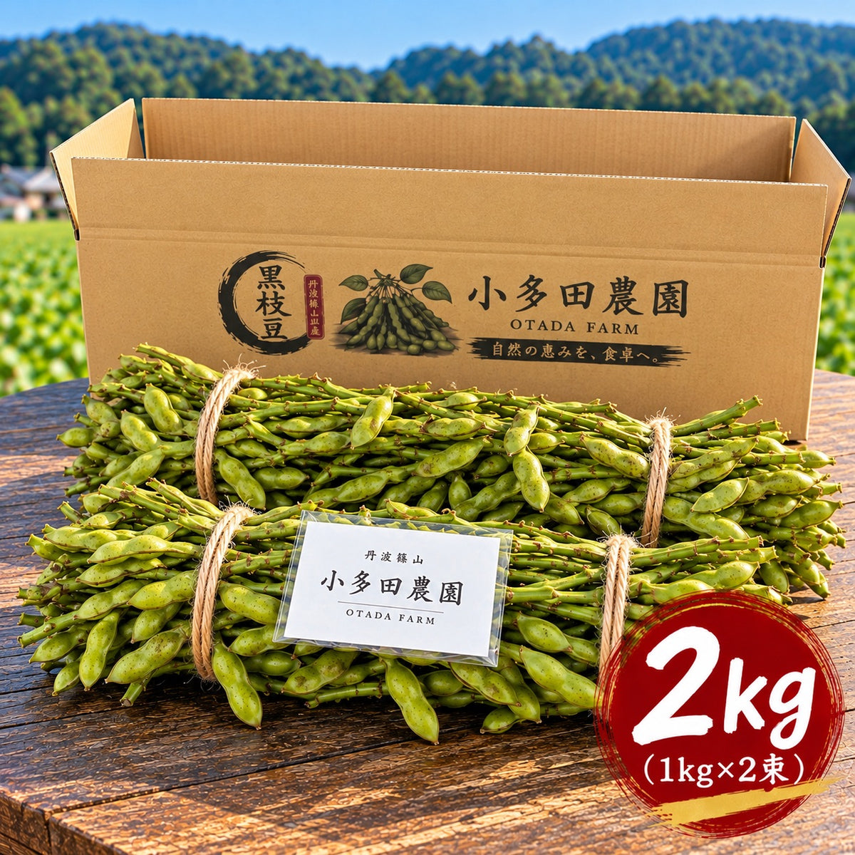 【数量限定】丹波篠山特産 黒枝豆｜枝付き・農園直送 リピーター割あり ご贈答用にも【1kg／2kg・送料込】