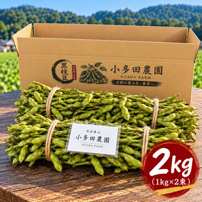 【数量限定】丹波篠山特産 黒枝豆｜枝付き・農園直送 リピーター割あり ご贈答用にも【1kg／2kg・送料込】