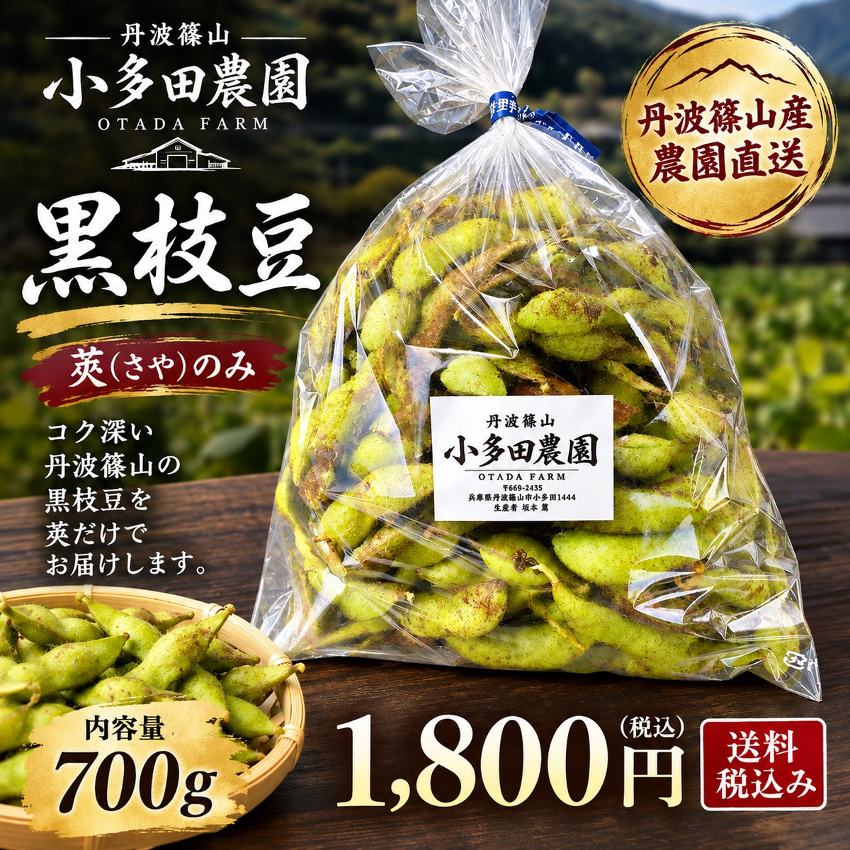 【丹波篠山産】小多田農園の黒枝豆     大粒・朝採れ・莢（さや）のみ700g ご家庭用特別価格 1,800円（税込・送料込み）リピーター割あり