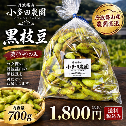 【丹波篠山産】小多田農園の黒枝豆     大粒・朝採れ・莢（さや）のみ700g ご家庭用特別価格 1,800円（税込・送料込み）リピーター割あり