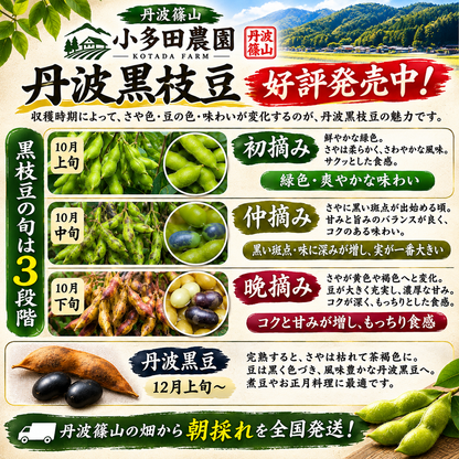 【丹波篠山産】小多田農園の黒枝豆     大粒・朝採れ・莢（さや）のみ700g ご家庭用特別価格 1,800円（税込・送料込み）リピーター割あり