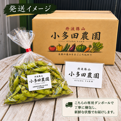 【丹波篠山産】小多田農園の黒枝豆     大粒・朝採れ・莢（さや）のみ700g ご家庭用特別価格 1,800円（税込・送料込み）リピーター割あり