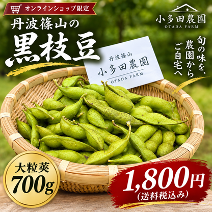 【丹波篠山産】小多田農園の黒枝豆     大粒・朝採れ・莢（さや）のみ700g ご家庭用特別価格 1,800円（税込・送料込み）リピーター割あり