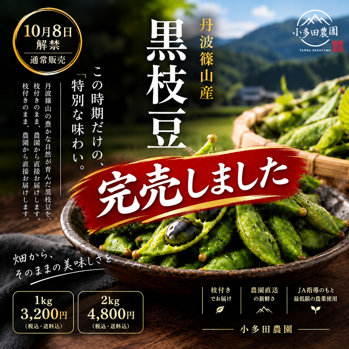 【数量限定】丹波篠山特産 黒枝豆｜枝付き・農園直送 リピーター割あり ご贈答用にも【1kg／2kg・送料込】